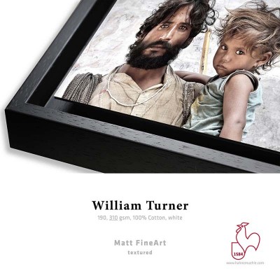 Détail William Turner 310g + Caisse Américaine     