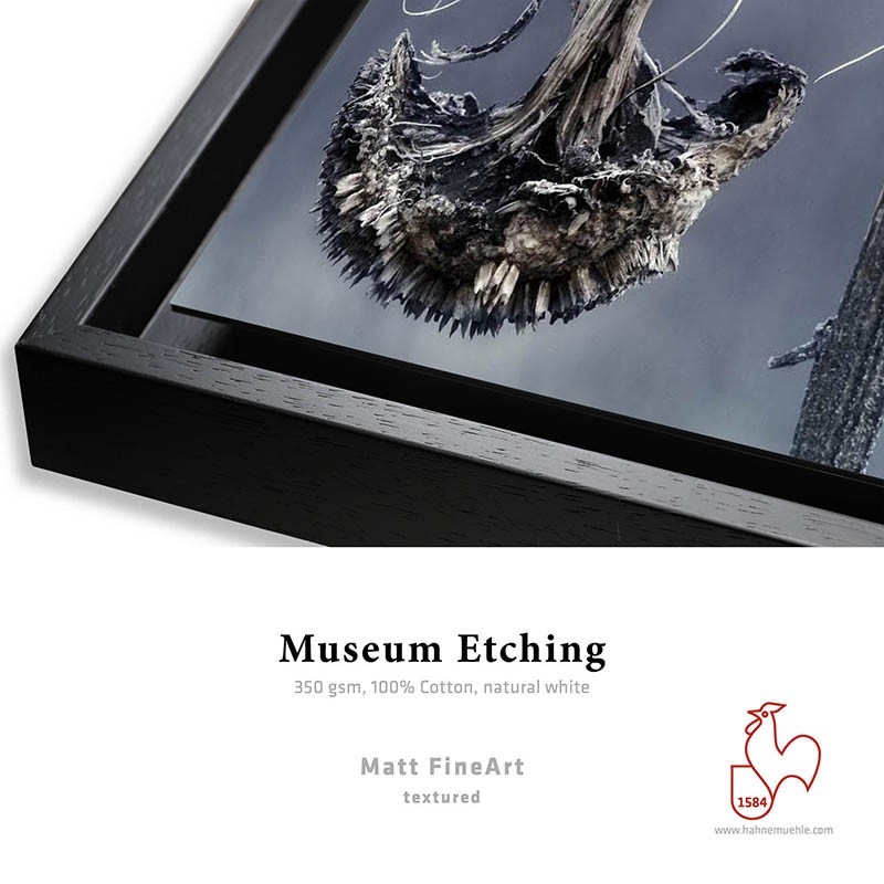 Détail Museum Etching 350g + Caisse Américaine     