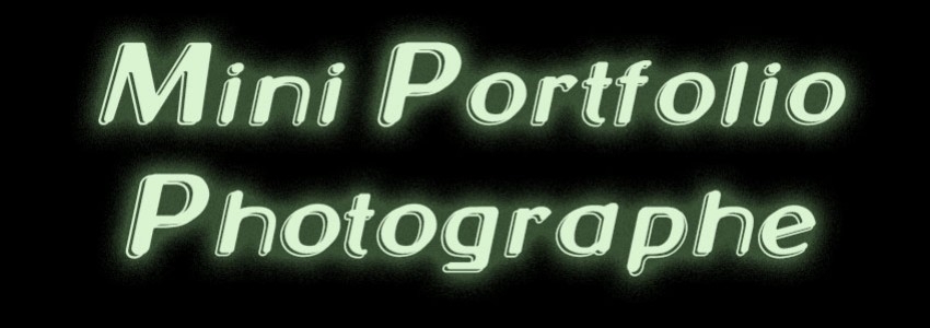 Mini Portfolio Photographes